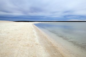 Coquina Shell Beach Shark Bay 